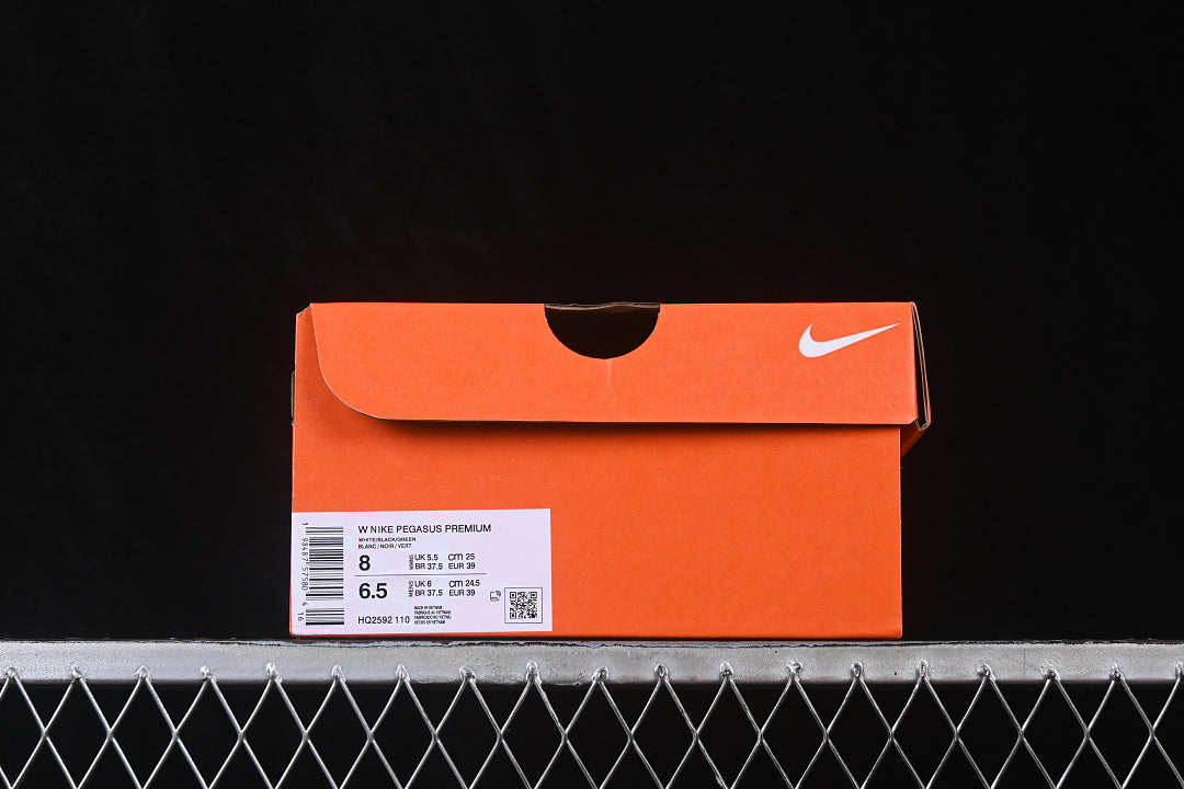 Air Zoom Pegasus “White Summit”