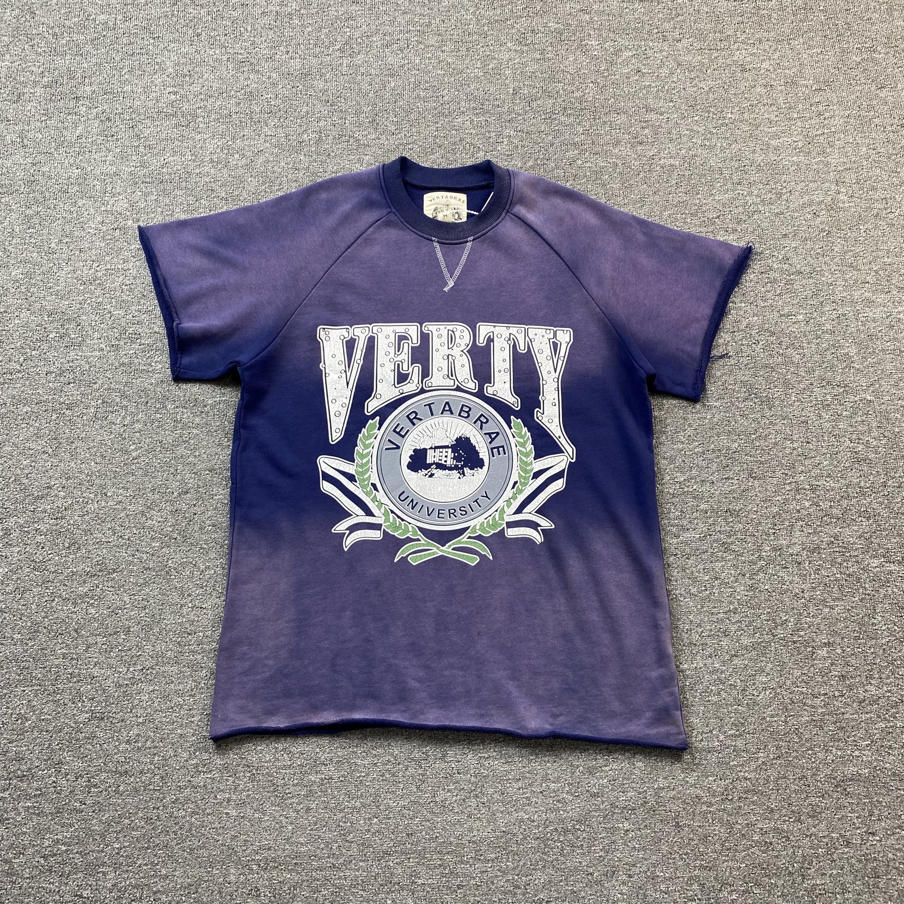 Camisa Vertabrae “Verty” ( Roxa )