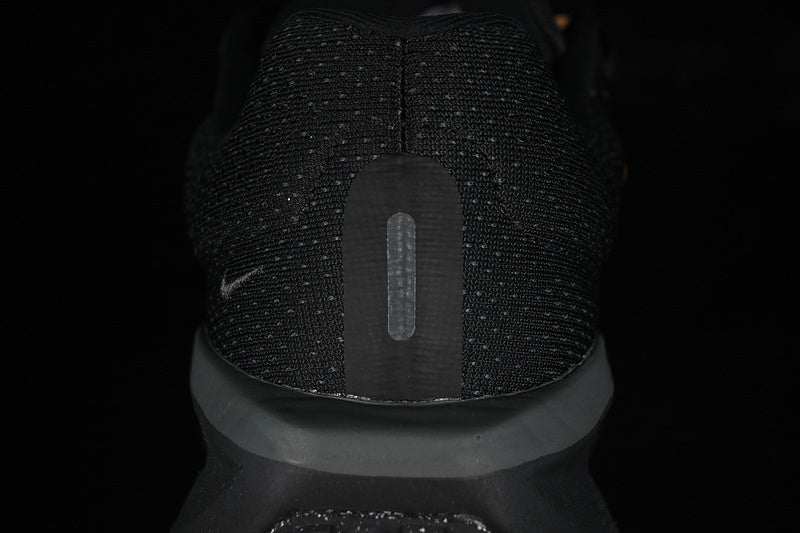 Air Zoom Winflo 11 “Black”