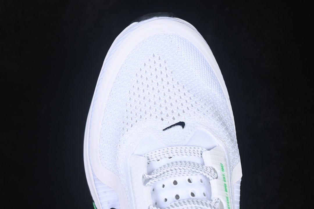 Air Zoom Pegasus “White Summit”