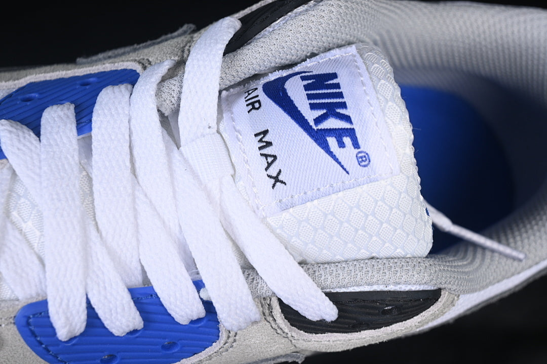 Air max 90 “Hyper Royal”