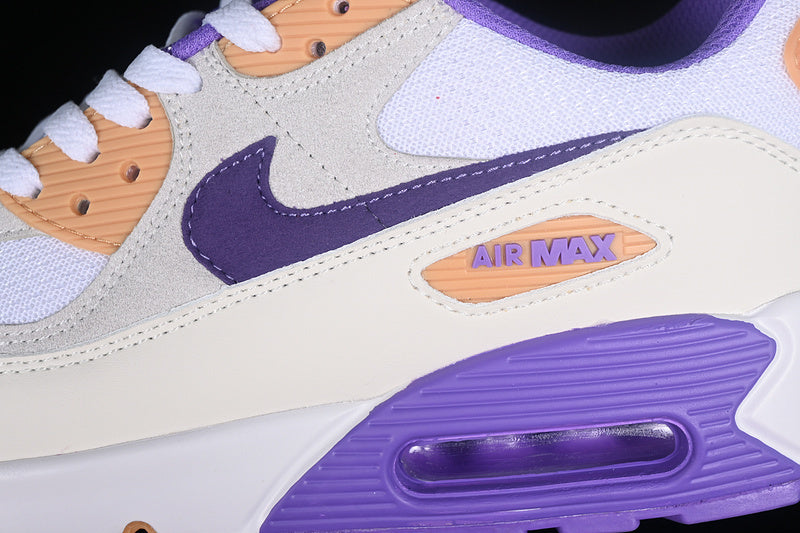 Air max 90 “Action Grape Citron”