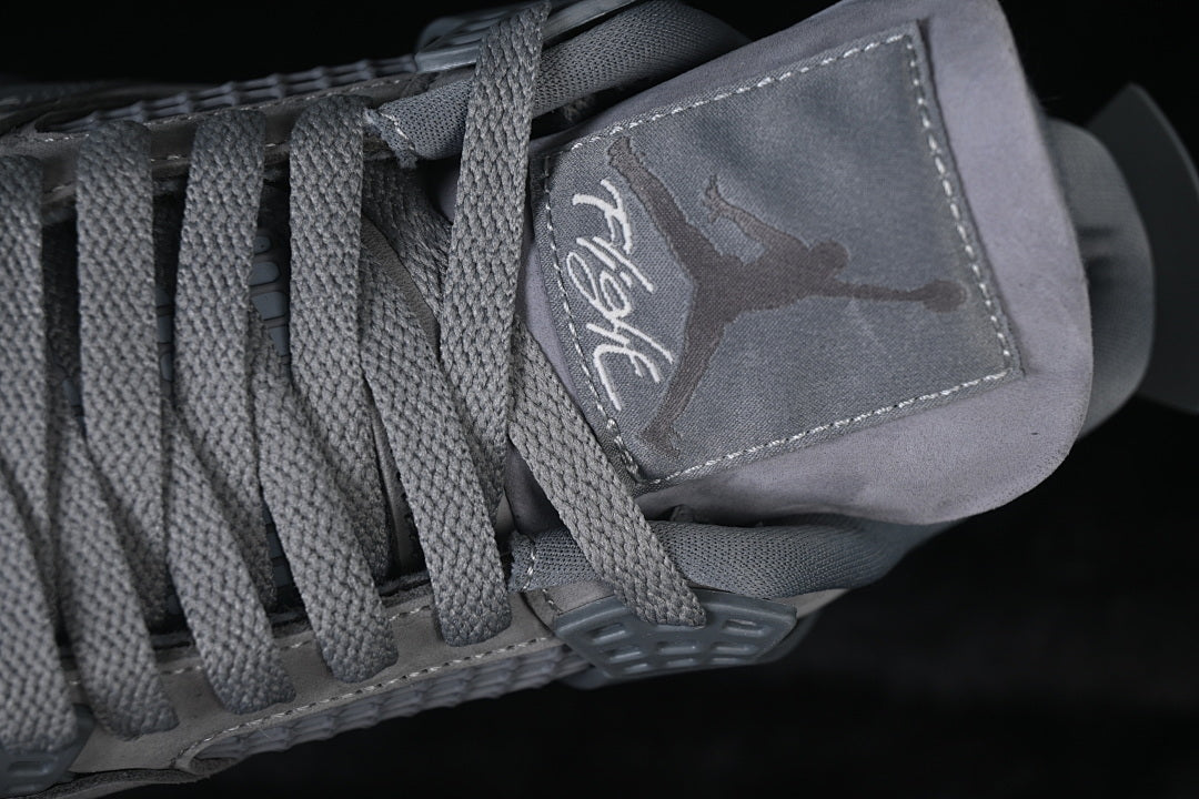 Air jordan 4 x Sylvester “Dark Grey”