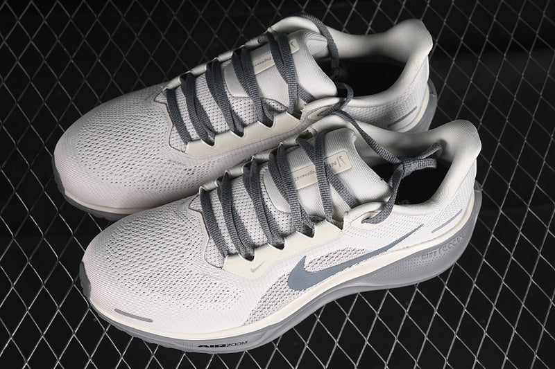 Air Zoom Pegasus 41 “Grey”