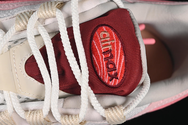 Air max 95 “Anatomy Of Air”