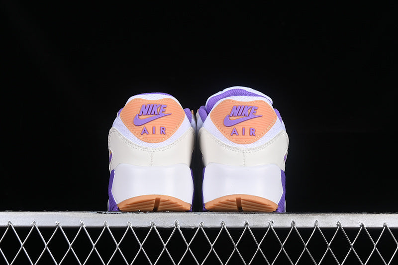 Air max 90 “Action Grape Citron”