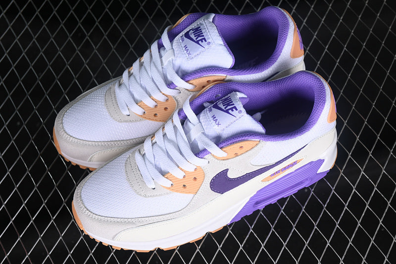 Air max 90 “Action Grape Citron”