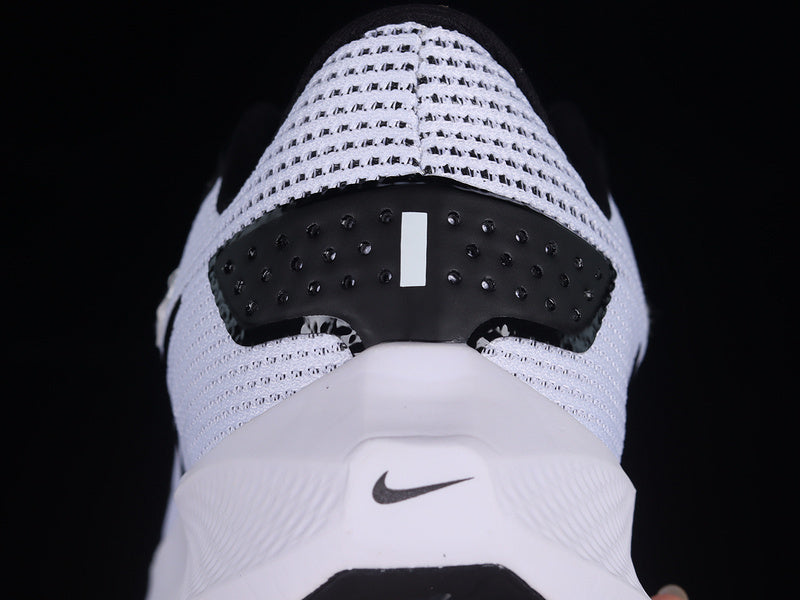 Air Zoom “Pagasus”