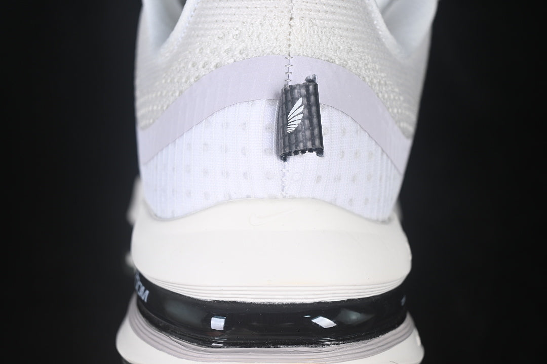 Air Zoom Pegasus Premium “Run”