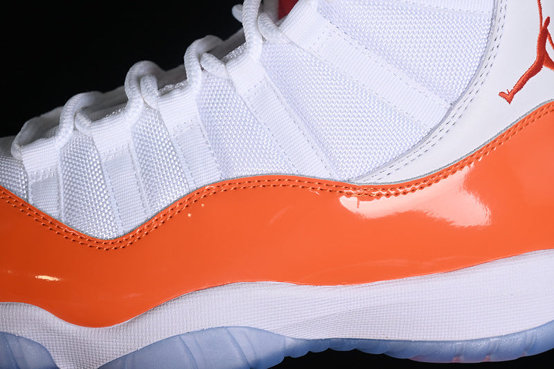 Air Jordan 11 “Florida Gators”