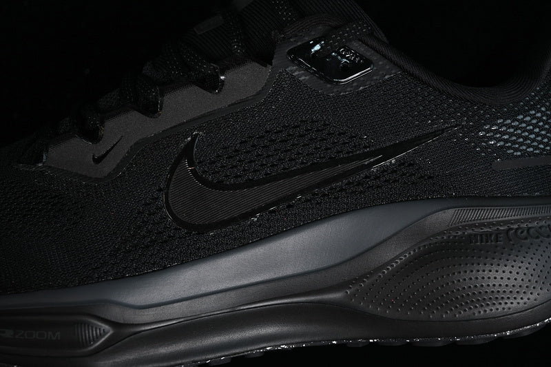 Air Zoom “Pagasus”