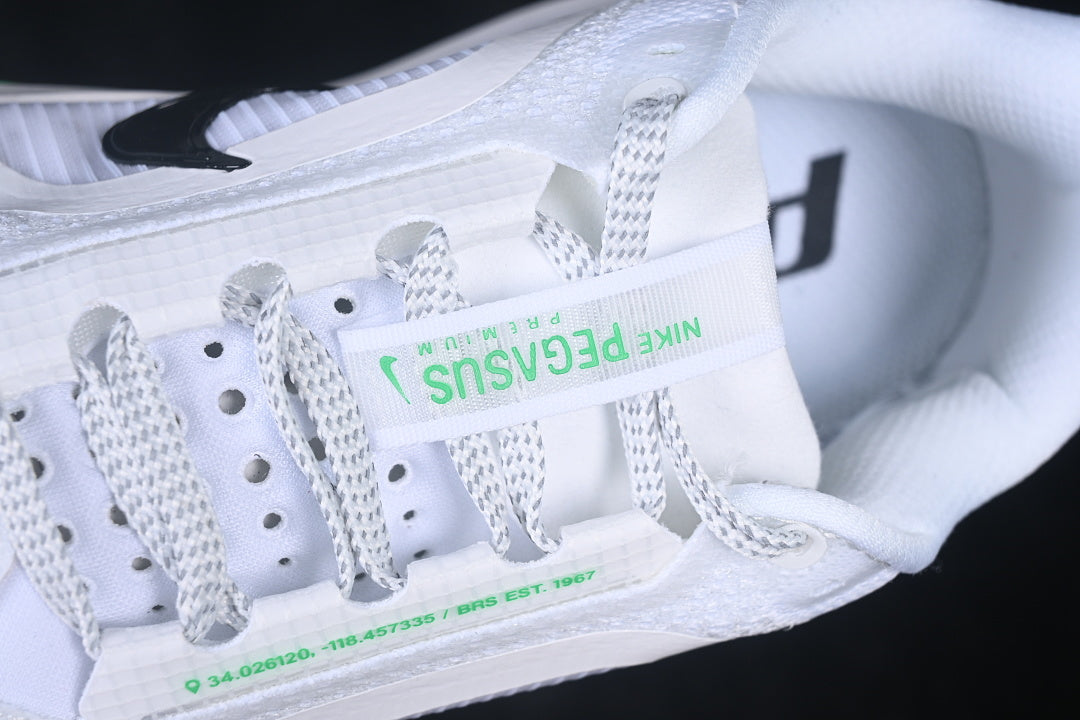 Air Zoom Pegasus “White Summit”