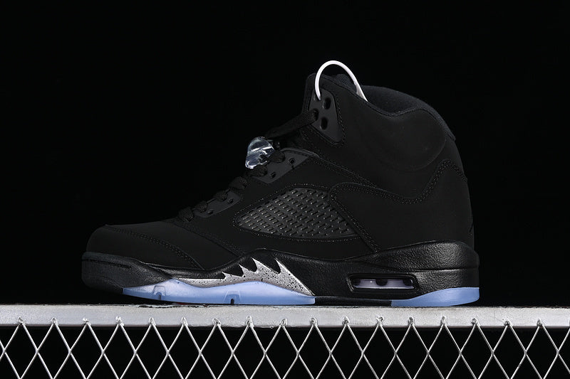 Air jordan 6 ”Silver”