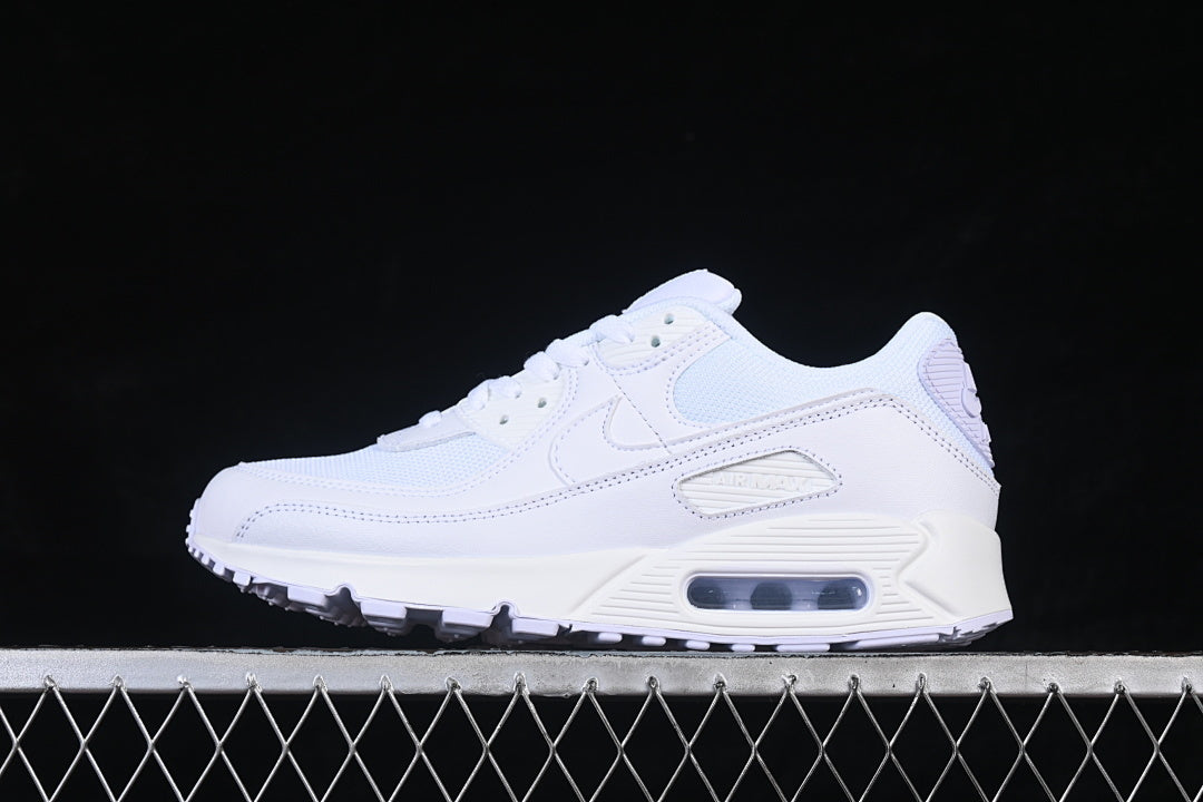Air max 90 “White Wolf Grey”
