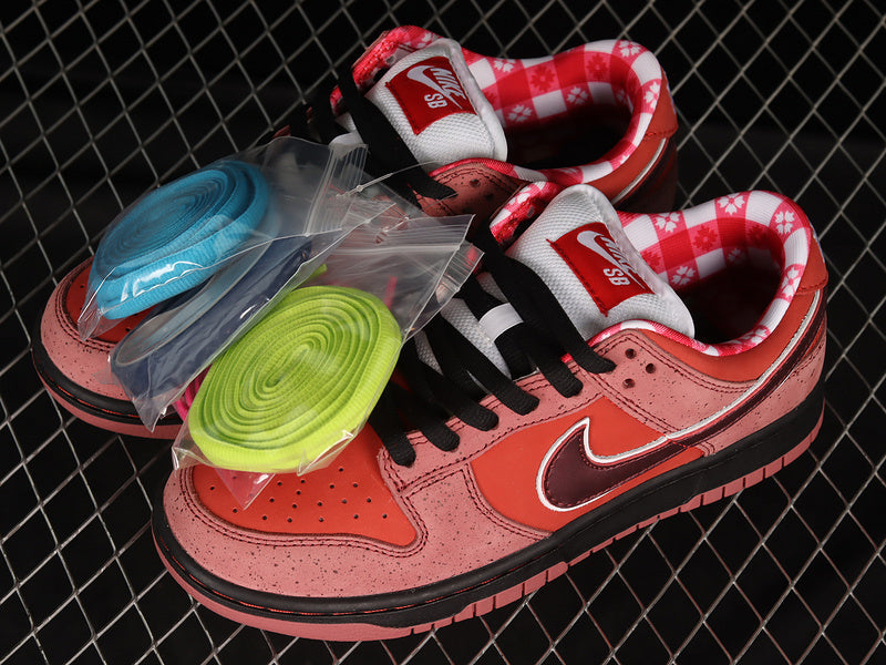 Dunk “Lobster Sport Red”
