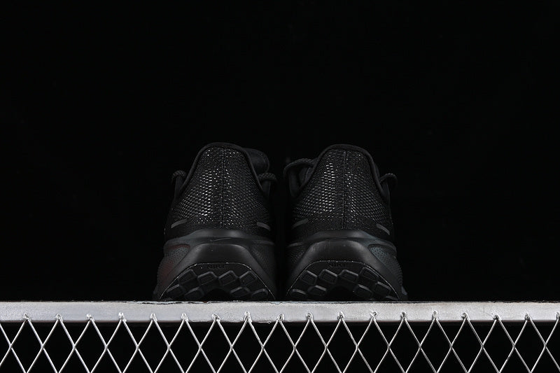 Air Zoom “Pagasus”