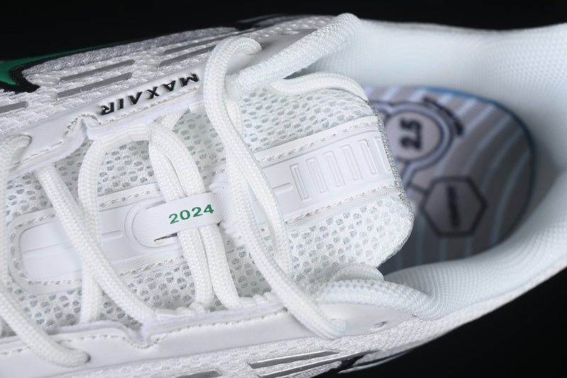 Air max TL “Celtics”
