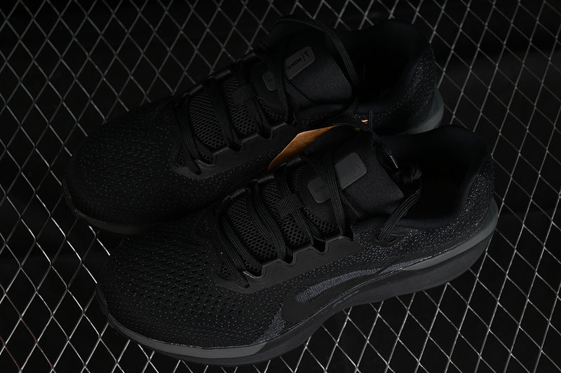 Air Zoom Winflo 11 “Black”
