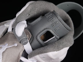 Air jordan 6 “Cool Grey”
