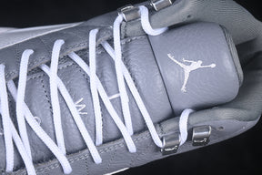 Air Jordan 12 “Stealth”