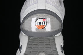 Air Max DN “Iron Ore”
