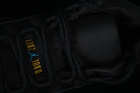 Air Jordan 11 “Gamma Blue”