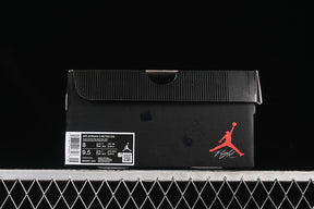 Air Jordan 3 “Rare Air”