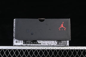 Air jordan 6  “Cap and Gown”