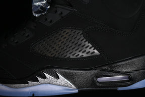 Air jordan 6 ”Silver”