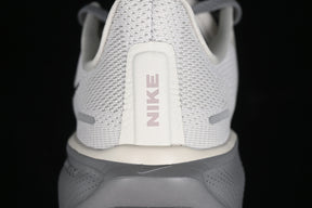 Air Zoom Pegasus 41 “Grey”