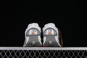Air Max DN “Iron Ore”