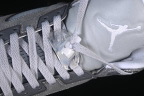 Air Jordan 5 “Wolf Grey”