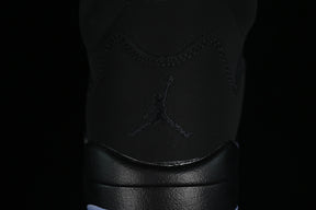 Air jordan 6 ”Silver”