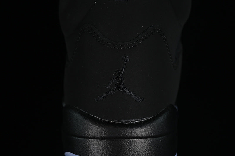 Air jordan 6 ”Silver”