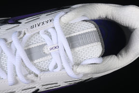 Air max TL “Wild Grape”