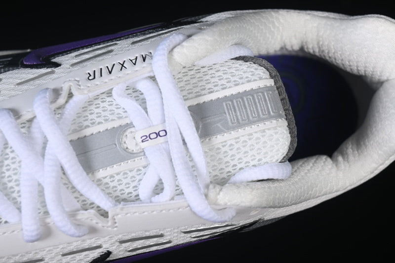 Air max TL “Wild Grape”