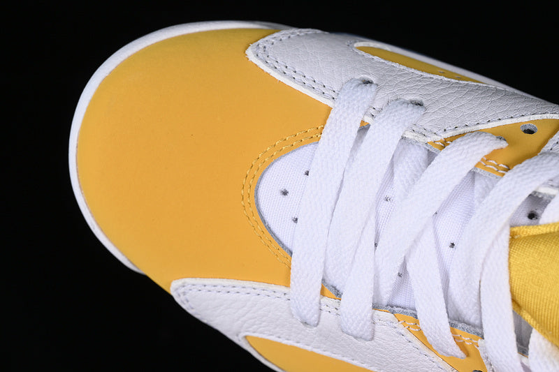 Air jordan 6 “Yellow Ochre”