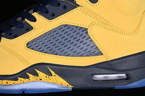 Air Jordan 5 “Michigan”