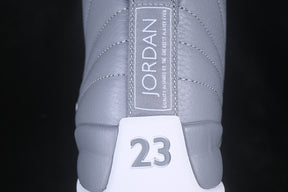 Air Jordan 12 “Stealth”