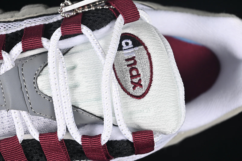 Air max 95 “Dark Beetroot”