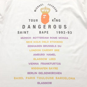 Camisa Bape x Winterland “Saint Bape”