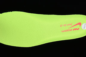 Air Zoom Pegasus 40 “Volt”