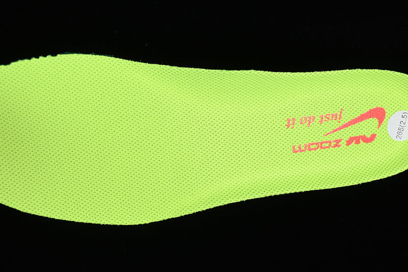 Air Zoom Pegasus 40 “Volt”