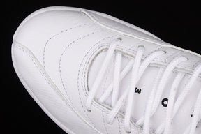 Air Jordan 12  “Twist”