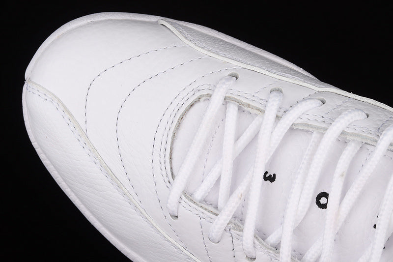 Air Jordan 12  “Twist”