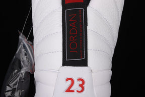 Air Jordan 12  “Twist”
