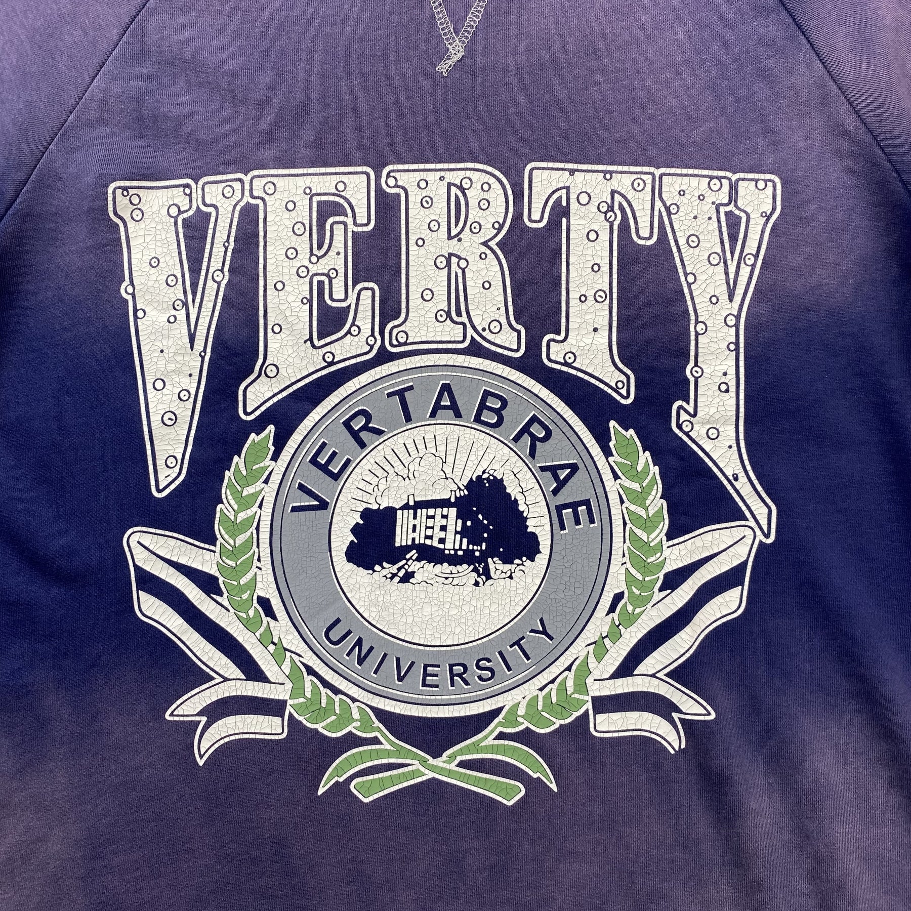 Camisa Vertabrae “Verty” ( Roxa )