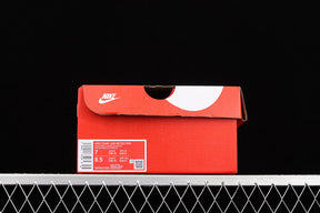 Dunk Sb “Animal Pack Zebra”
