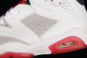 Air jordan 6 ”Hare Neutral”