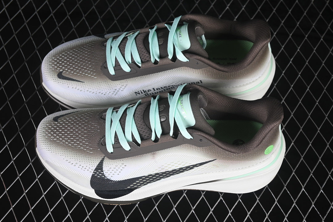 Air Zoom Pegasus Premium 42 “Faith Brown”